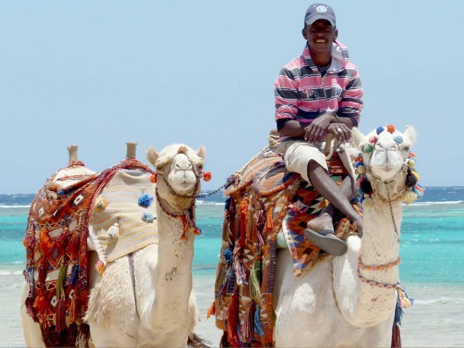 Ägypten – mit Kamel