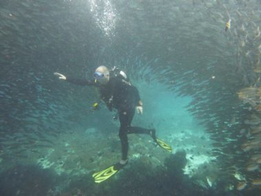 Mein erster Manta 58 raja ampat 2013 8