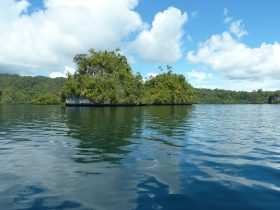 Raja Ampat: Ein Paradies für Taucher und Naturliebhaber 11 The Passage - Raja Ampat