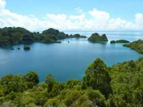 Raja Ampat: Ein Paradies für Taucher und Naturliebhaber 13 Gross Fam - Raja Ampat