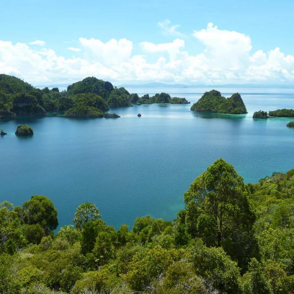 Gross Fam - Raja Ampat