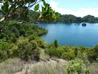 Mein erster Manta 16 Gross Fam - Raja Ampat