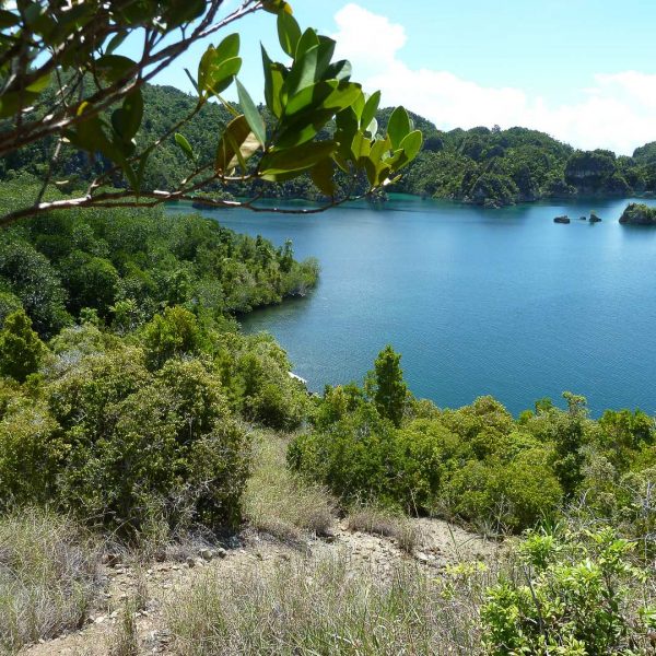 Gross Fam - Raja Ampat