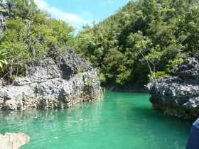 Raja Ampat: Ein Paradies für Taucher und Naturliebhaber 5 Gross Fam - Raja Ampat