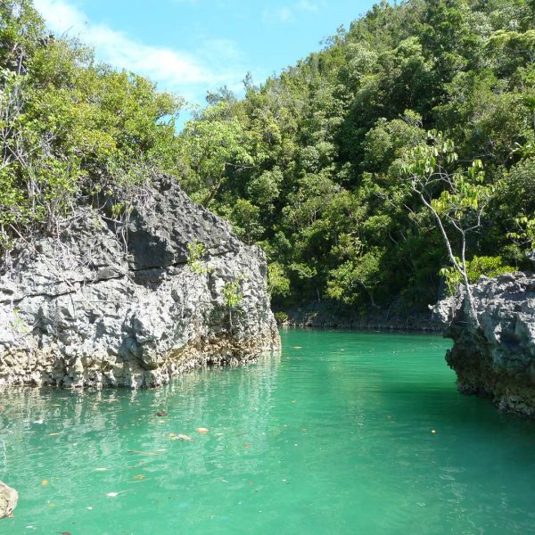 Gross Fam - Raja Ampat