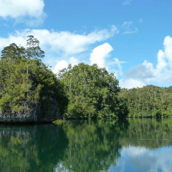 Hidden Bay - Raja Ampat