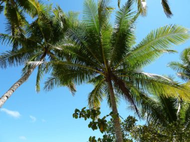 Mein erster Manta 41 Pulau Pef - Raja Ampat