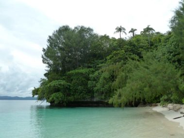 Mein erster Manta 9 Flughund-Insel - Raja Ampat