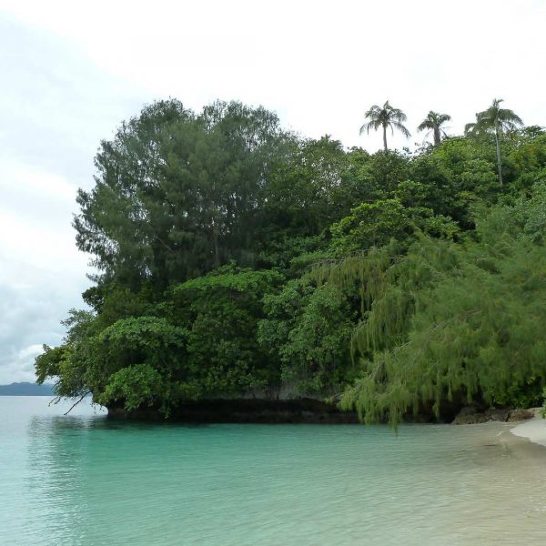 Flughund-Insel - Raja Ampat