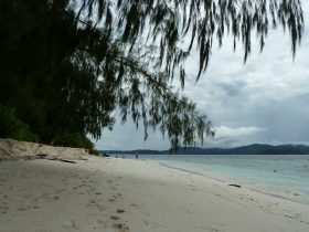 Raja Ampat: Ein Paradies für Taucher und Naturliebhaber 7 Flughund-Insel - Raja Ampat