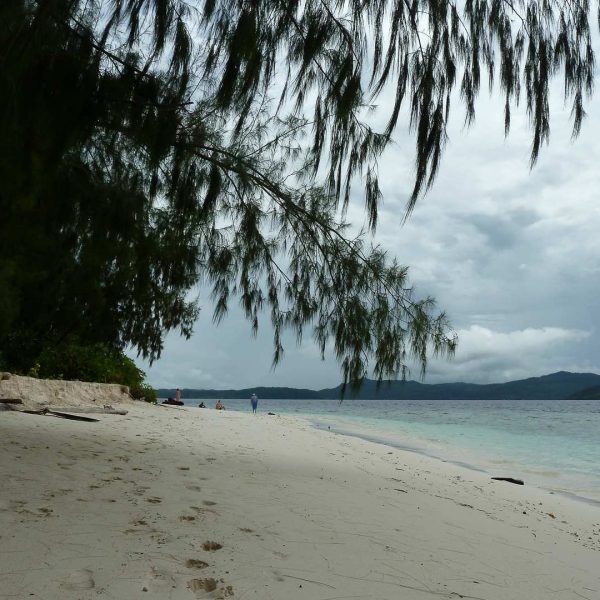 Flughund-Insel - Raja Ampat