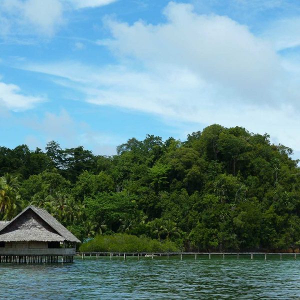 Bilck aus dem Bungalow