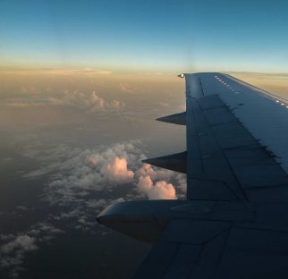 Tanjung Yembraimuk - Büffelkopf Papageifische / Bumphead 1 Anflug Sorong