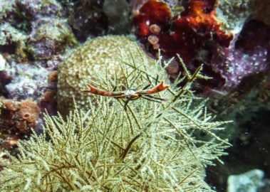 Mein erster Manta 26 Stop - nicht weiter