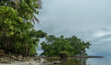 Mein erster Manta 19 Mangroven