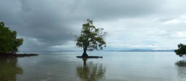 Mein erster Manta 20 Mangrove