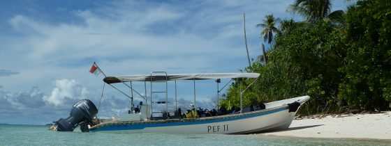 Raja Ampat: Ein Paradies für Taucher und Naturliebhaber 21 Ausflugsboot ;-)