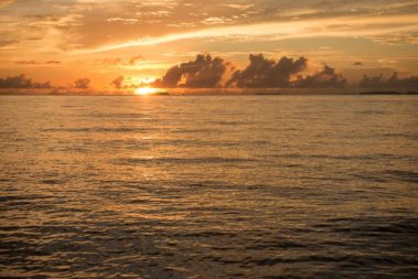 Mein erster Manta 93 dsc00099