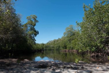 Mein erster Manta 75 dsc00981