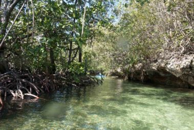 Mein erster Manta 69 dsc00994