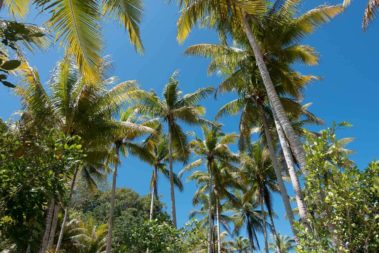 Mein erster Manta 78 dsc01229