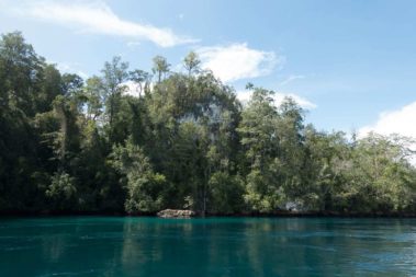 Mein erster Manta 71 dsc01399