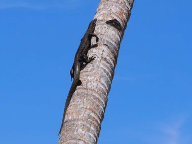 Mein erster Manta 94 p4141260