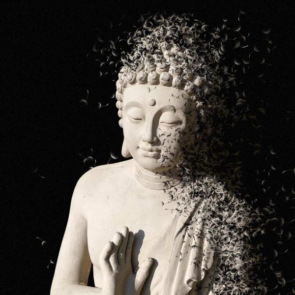 buddha-pusteblume buddha-pusteblume