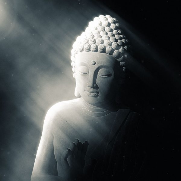 buddha-light-dark buddha-light-dark