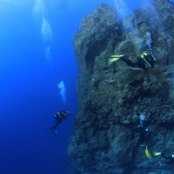 Baja Ribera – Tauchplatz Baja Ribera - Tauchplatz