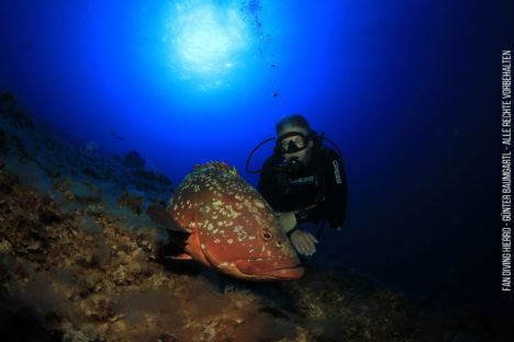 Welcher sieht besser aus ;-) Welcher sieht besser aus ;-)