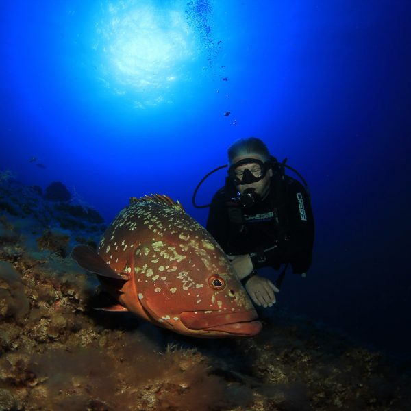 Welcher sieht besser aus ;-) Welcher sieht besser aus ;-)