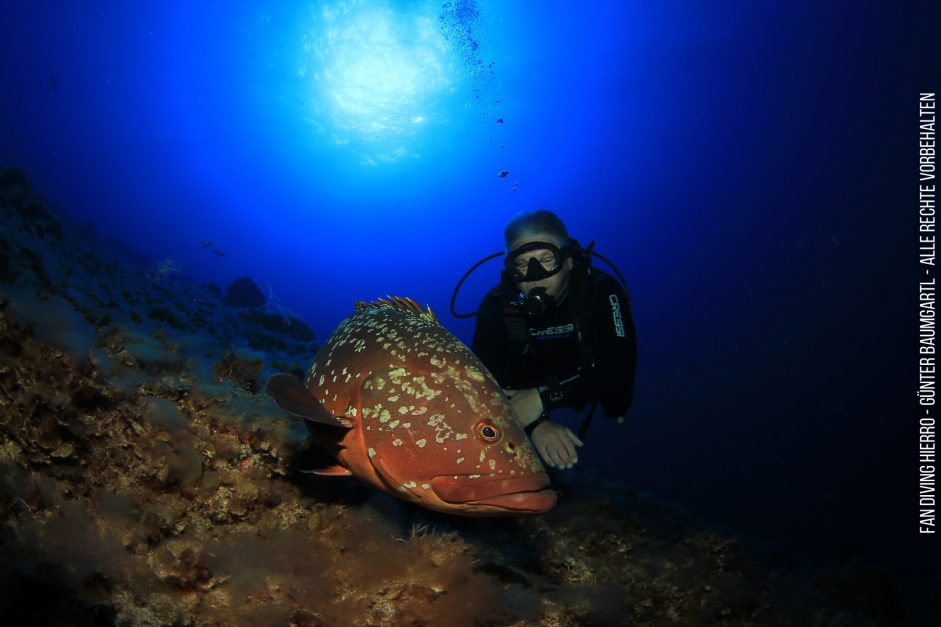 Welcher sieht besser aus ;-)