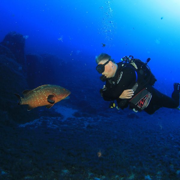 Annäherung – Zackenbarsch & Ich Annäherung - Zackenbarsch & Ich
