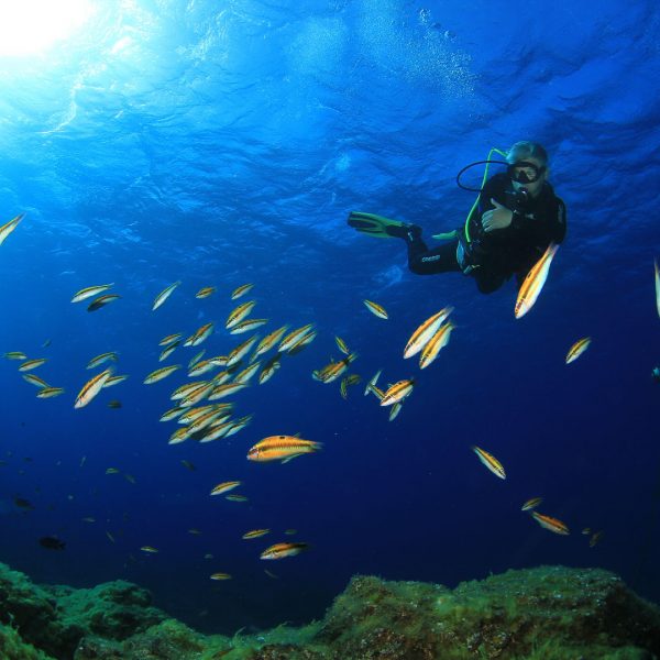 Ich beim Fische beobachten Ich beim Fische beobachten