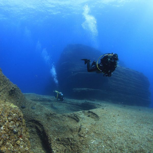 El Bajon – Tauchplatz El Bajon - Tauchplatz