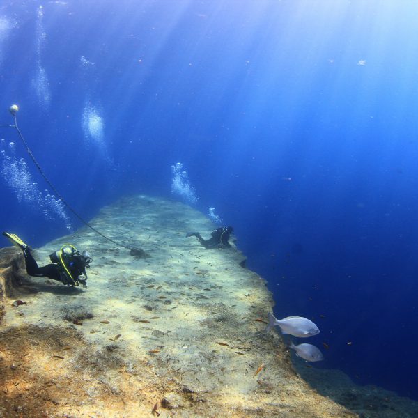 El Bajon – Rechts El Bajon - Rechts